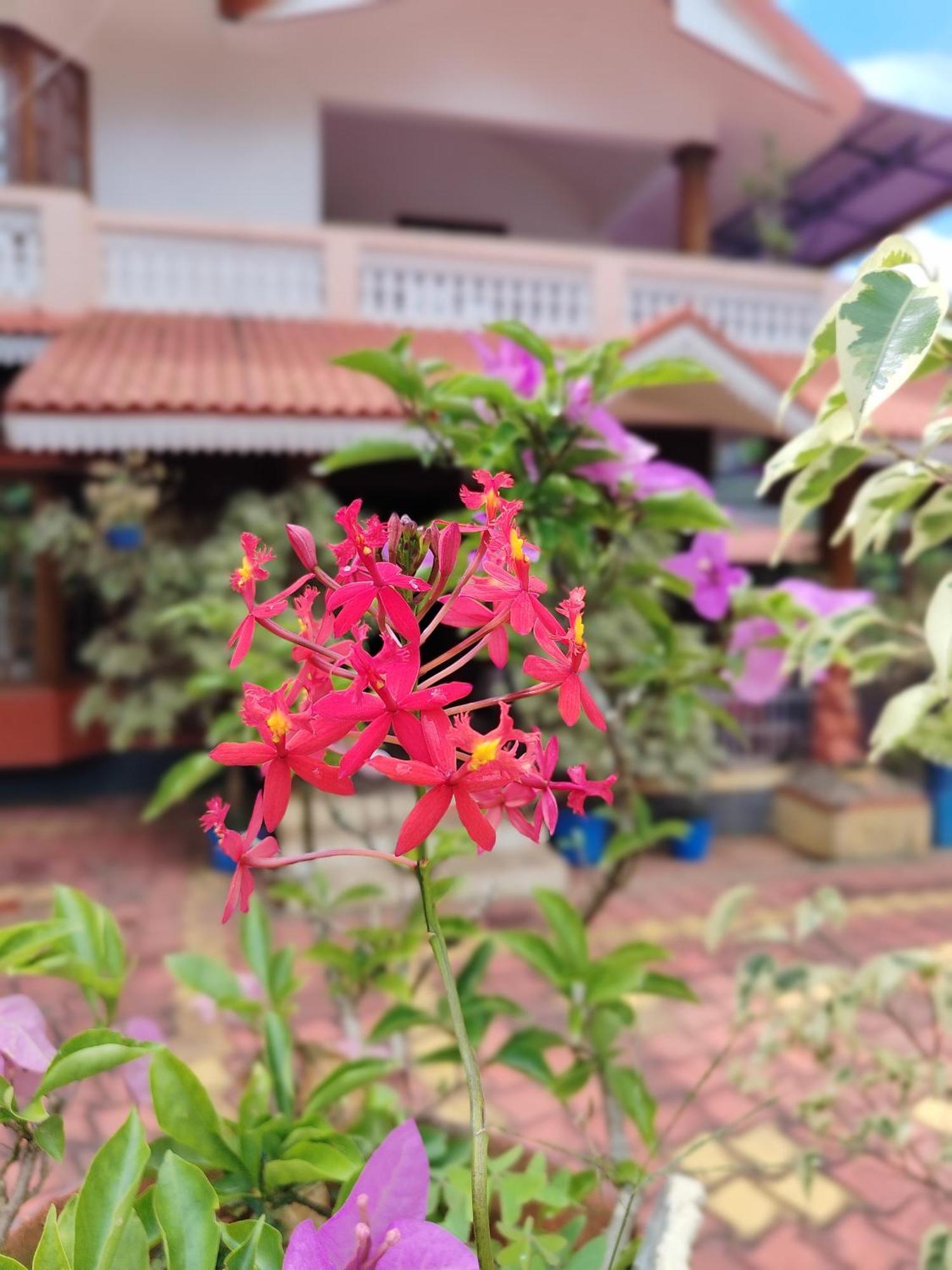 Shivalaya Homestay, Madikeri Siddāpur Exteriér fotografie