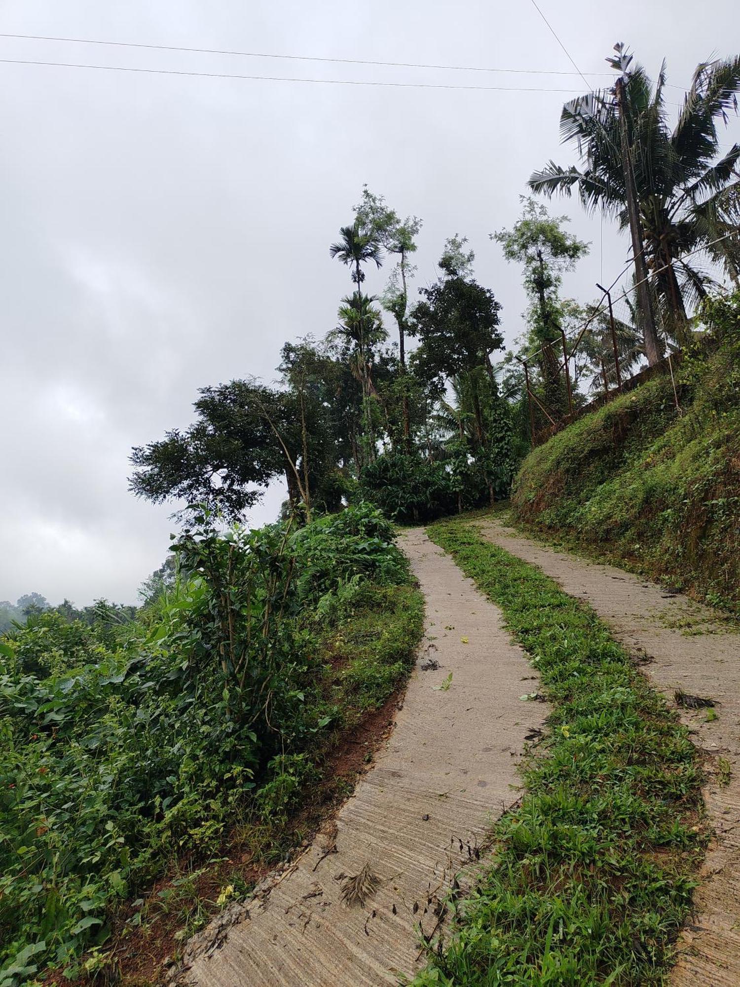 Shivalaya Homestay, Madikeri Siddāpur Exteriér fotografie