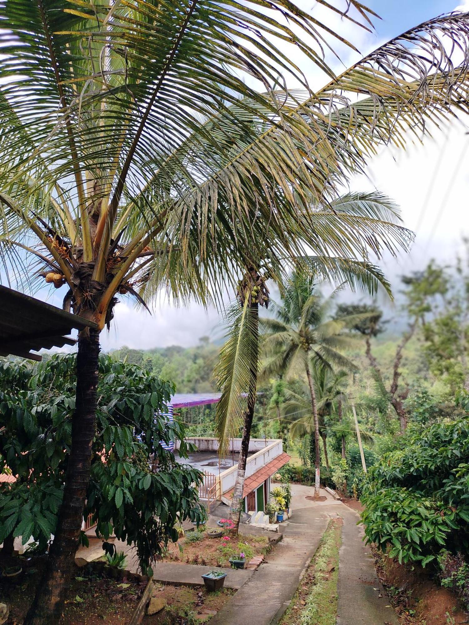 Shivalaya Homestay, Madikeri Siddāpur Exteriér fotografie